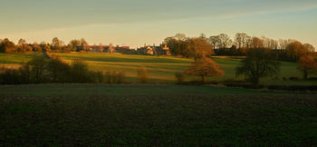 Rowthorne winter evening light Jamie Weinbren
Michael Weinbren Image from website: https://www.mw-gallery.photos/